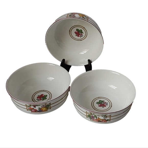 VILLEROY & BOCH " MON JARDIN" VITRO PORCELAIN 4 OATMEAL/ FRUITS  BOWL - Picture 4 of 5